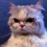 比奇堡消防栓的头像-观玄源码